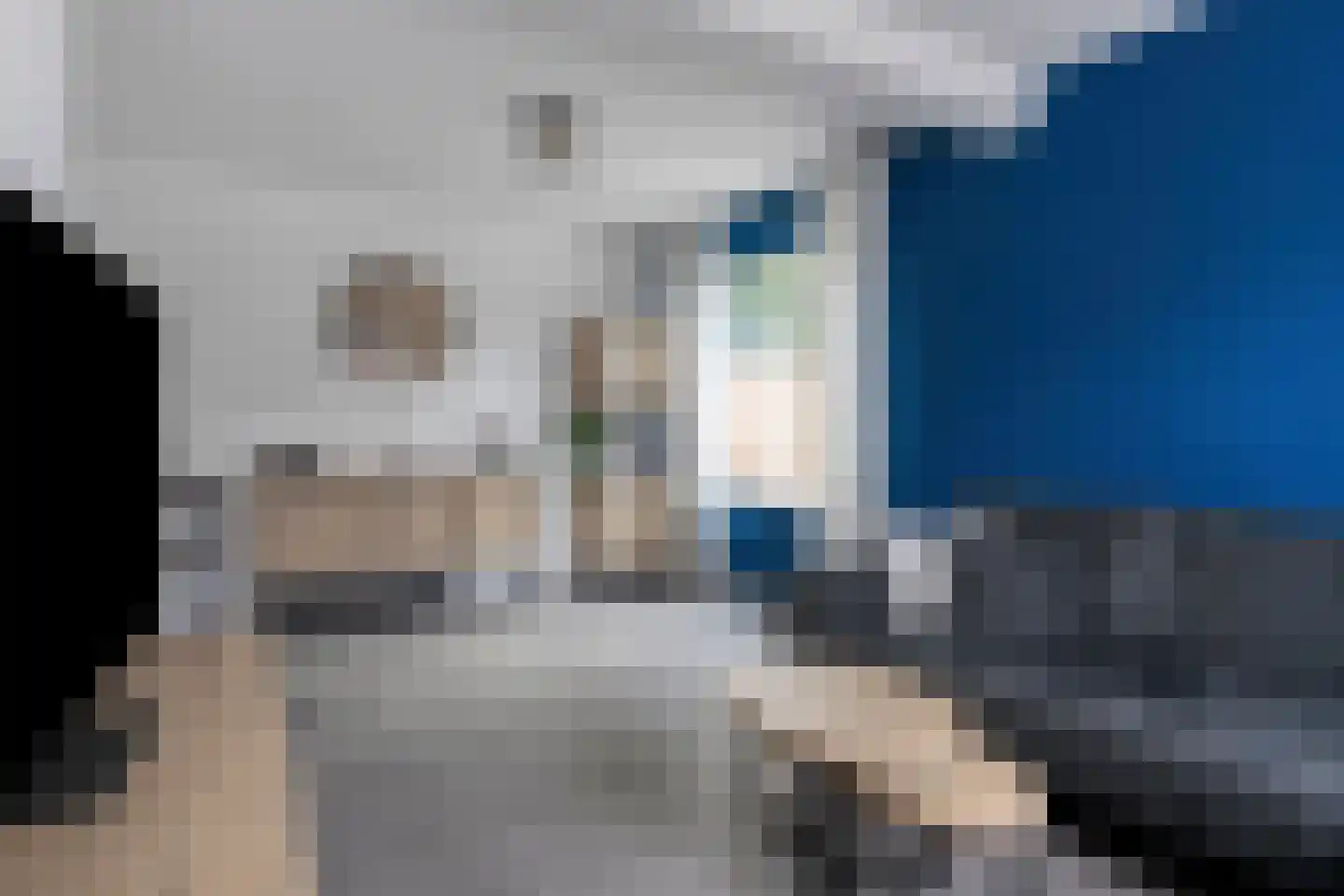 Bossestraat 6 Vogelwaarde thumbnail 7