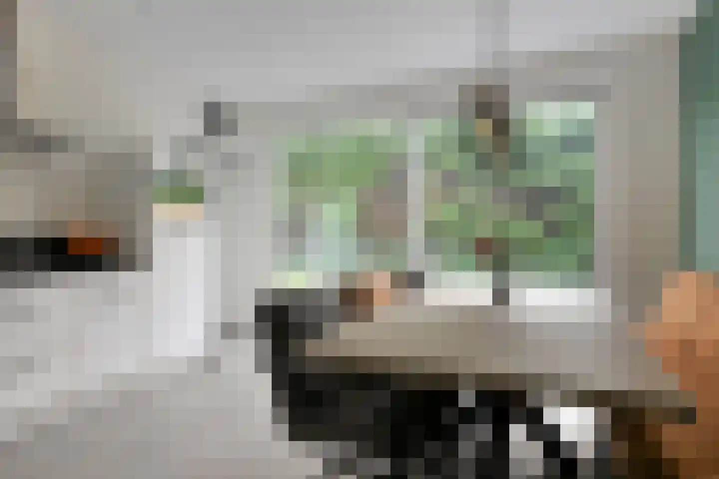 Bossestraat 6 Vogelwaarde thumbnail 9