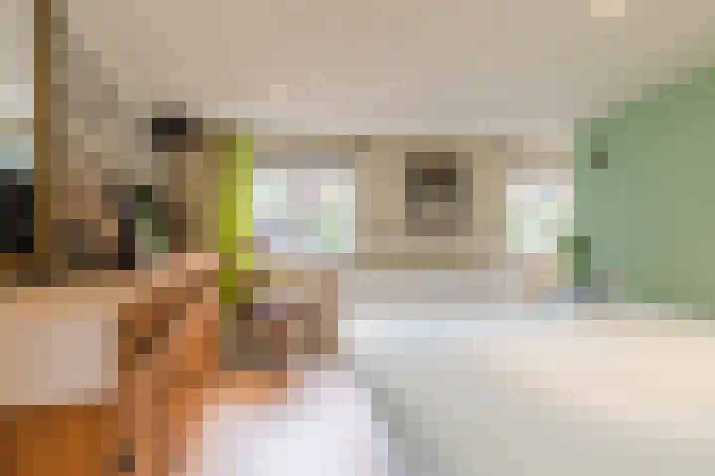 Bossestraat 7 Vogelwaarde thumbnail 17