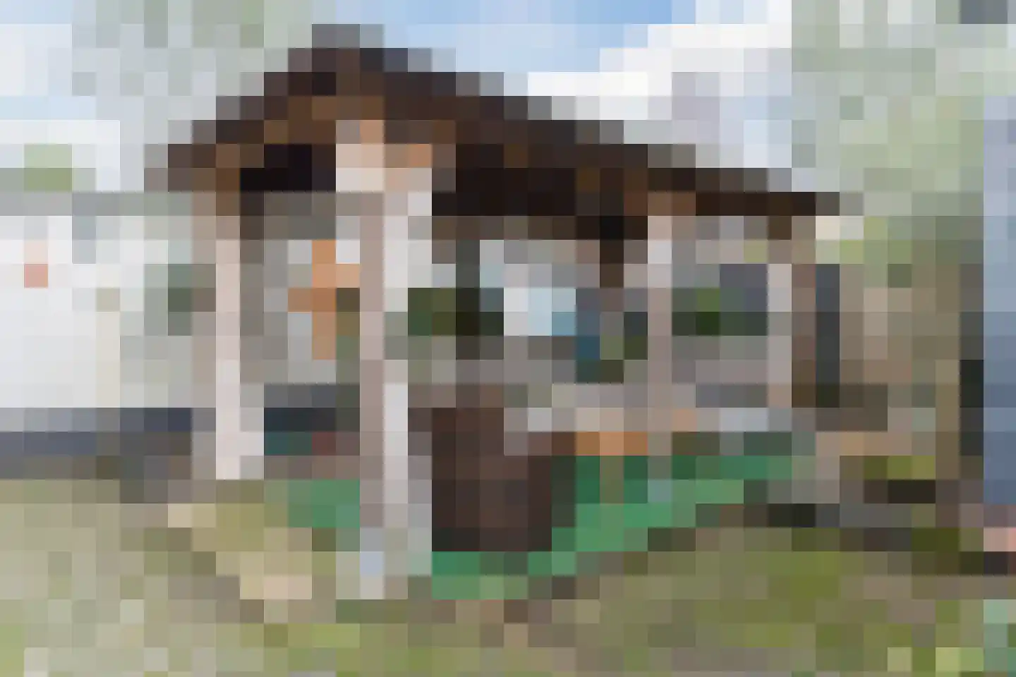 Bossestraat 7 Vogelwaarde thumbnail 32