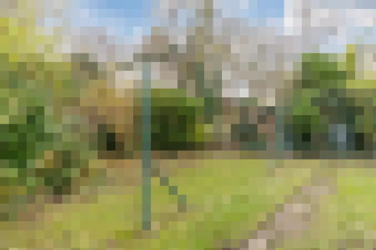 Bossestraat 7 Vogelwaarde thumbnail 34