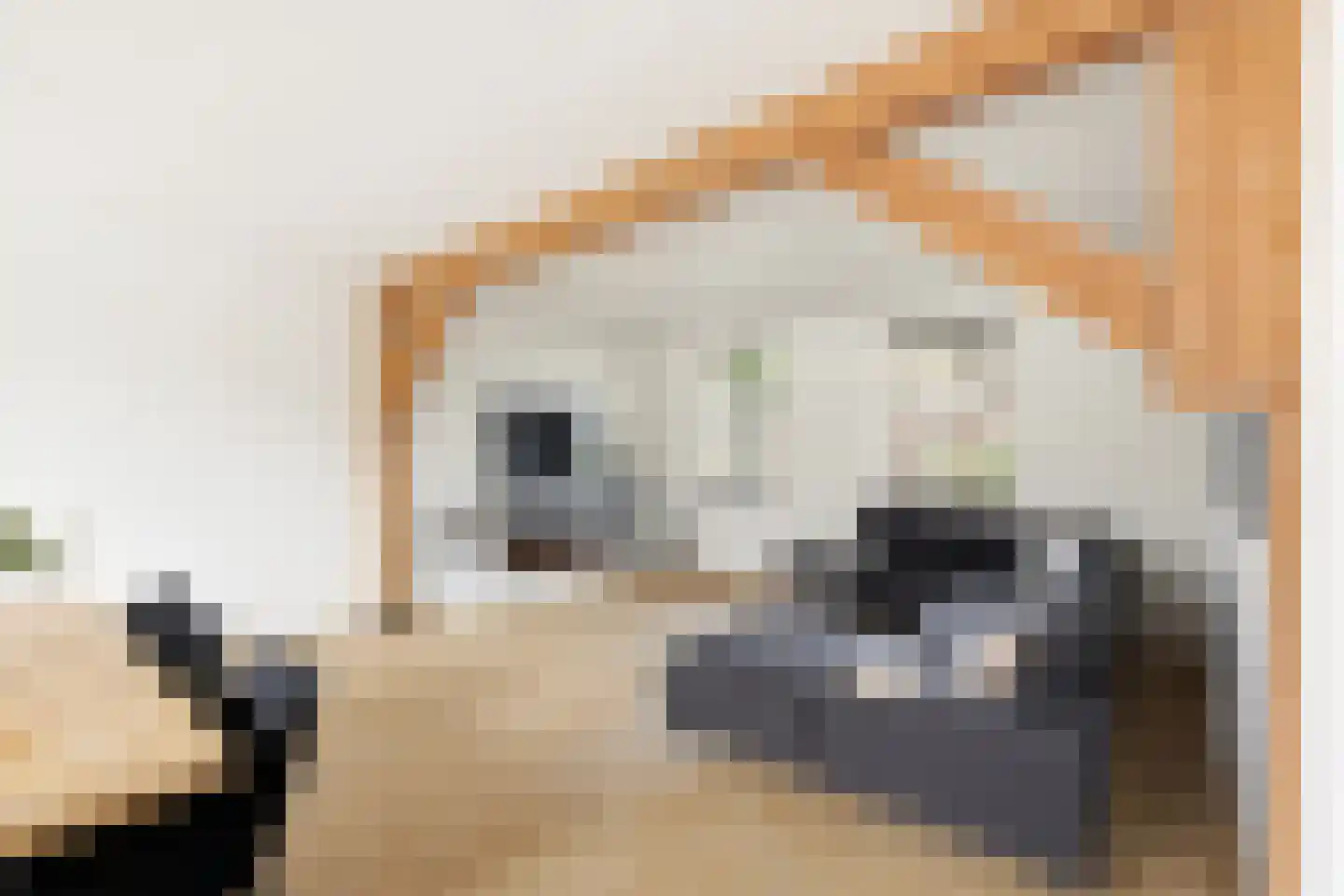 Bossestraat 86 Vogelwaarde thumbnail 10