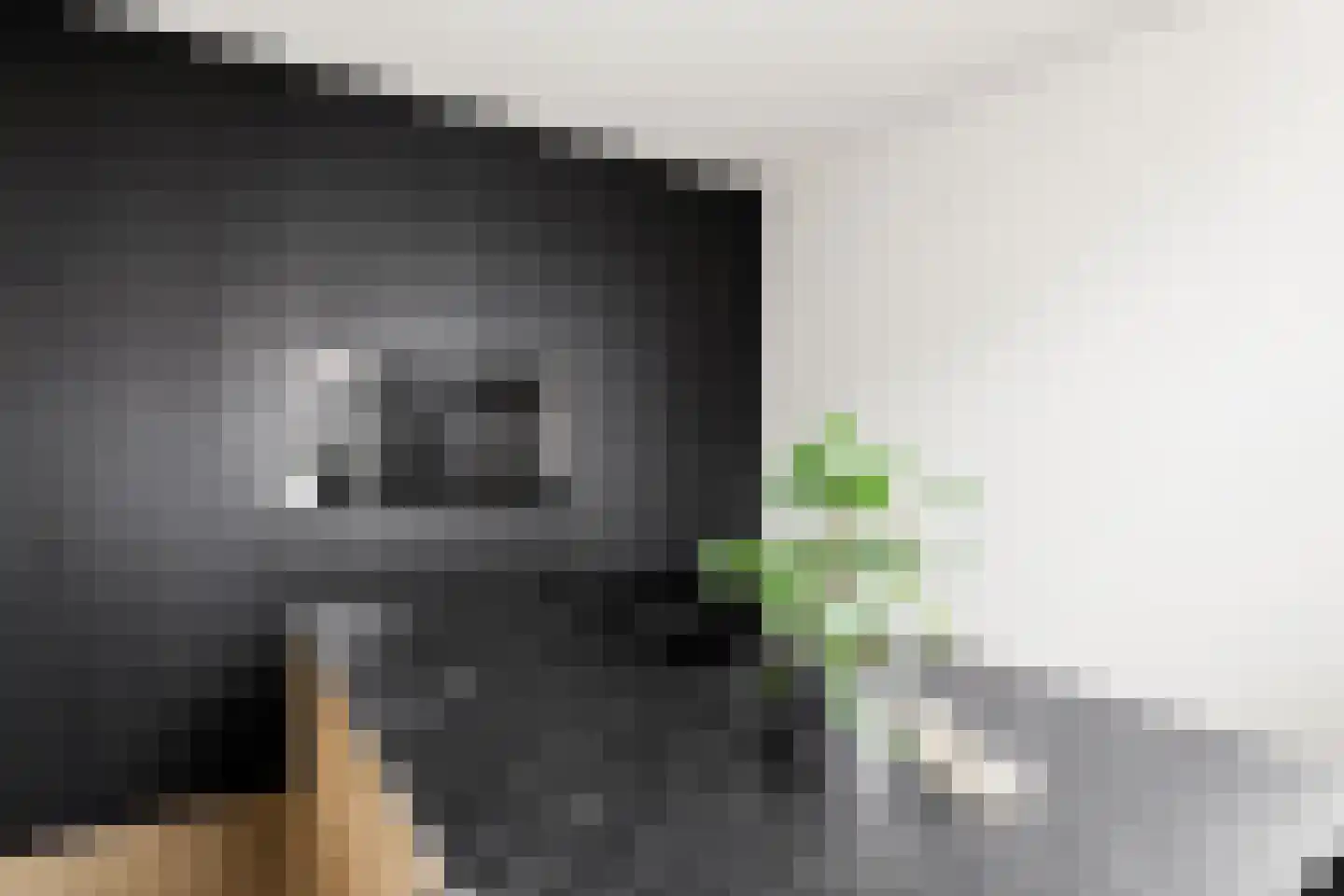 Bossestraat 86 Vogelwaarde thumbnail 18