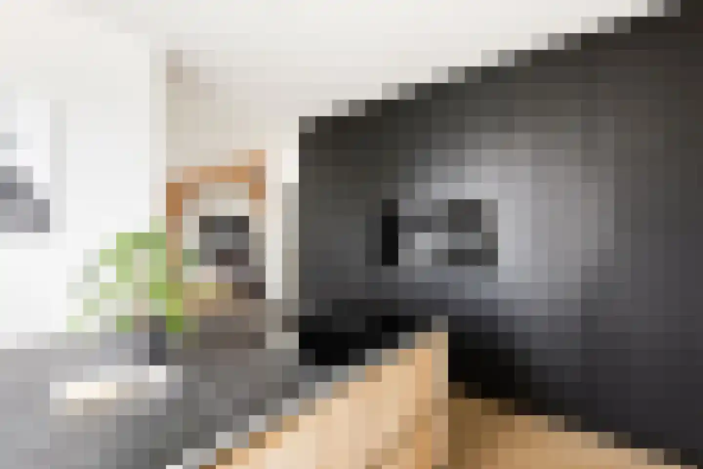 Bossestraat 86 Vogelwaarde thumbnail 21