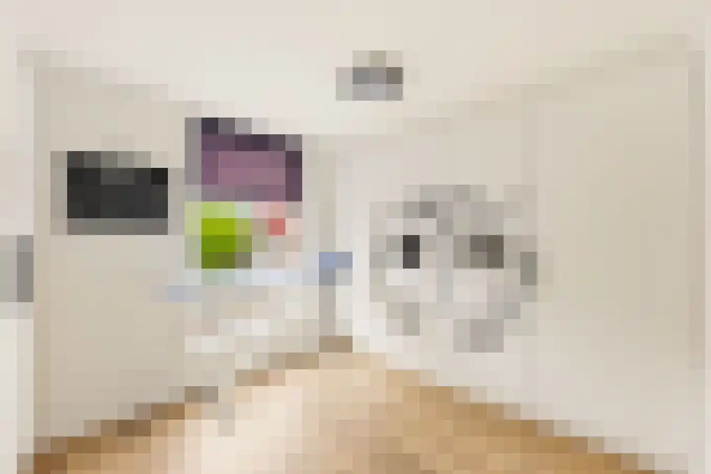 Bossestraat 86 Vogelwaarde thumbnail 27