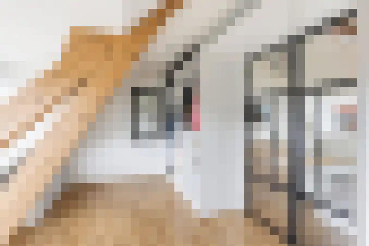 Bossestraat 86 Vogelwaarde thumbnail 33