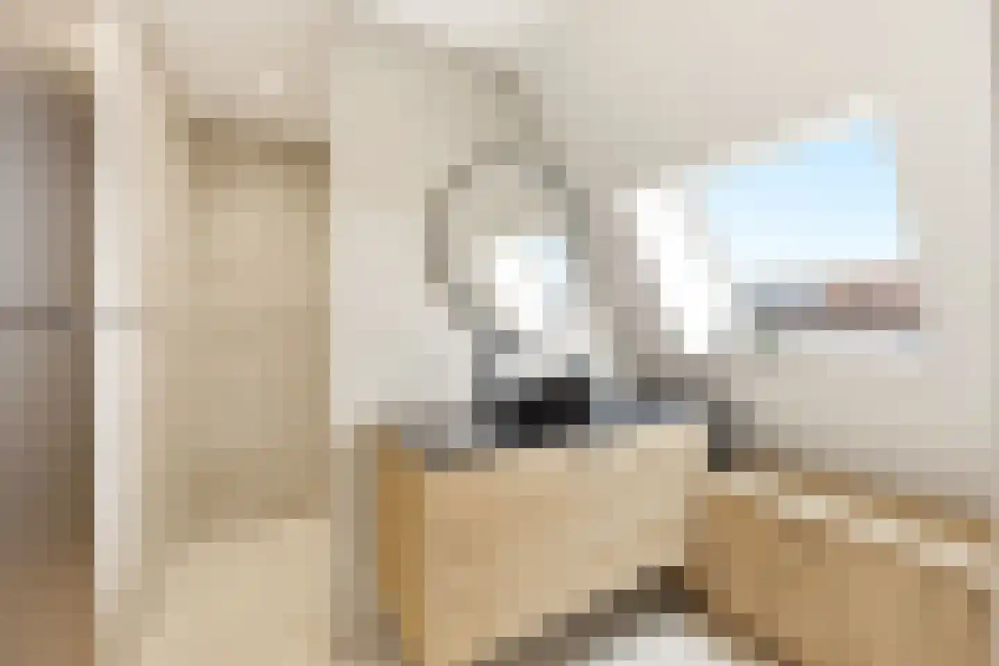 Bossestraat 86 Vogelwaarde thumbnail 38