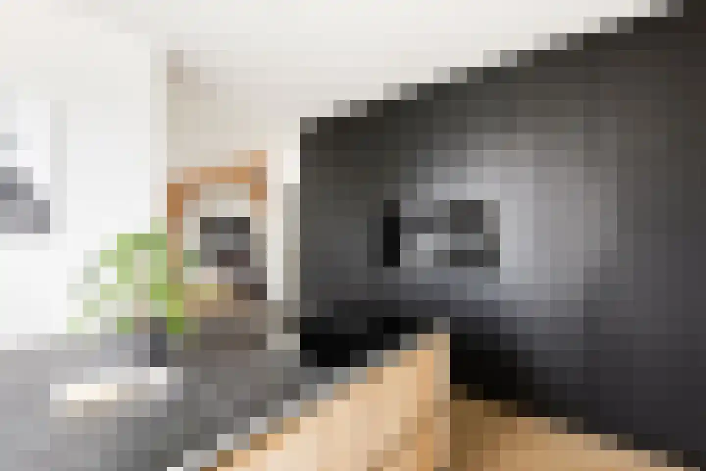 Bossestraat 86 Vogelwaarde thumbnail 4
