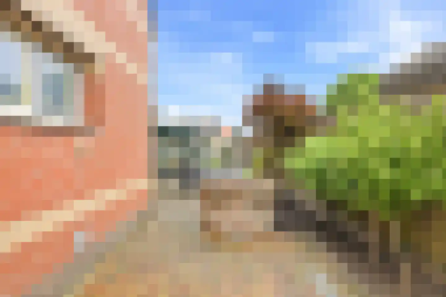 Bossestraat 86 Vogelwaarde thumbnail 46