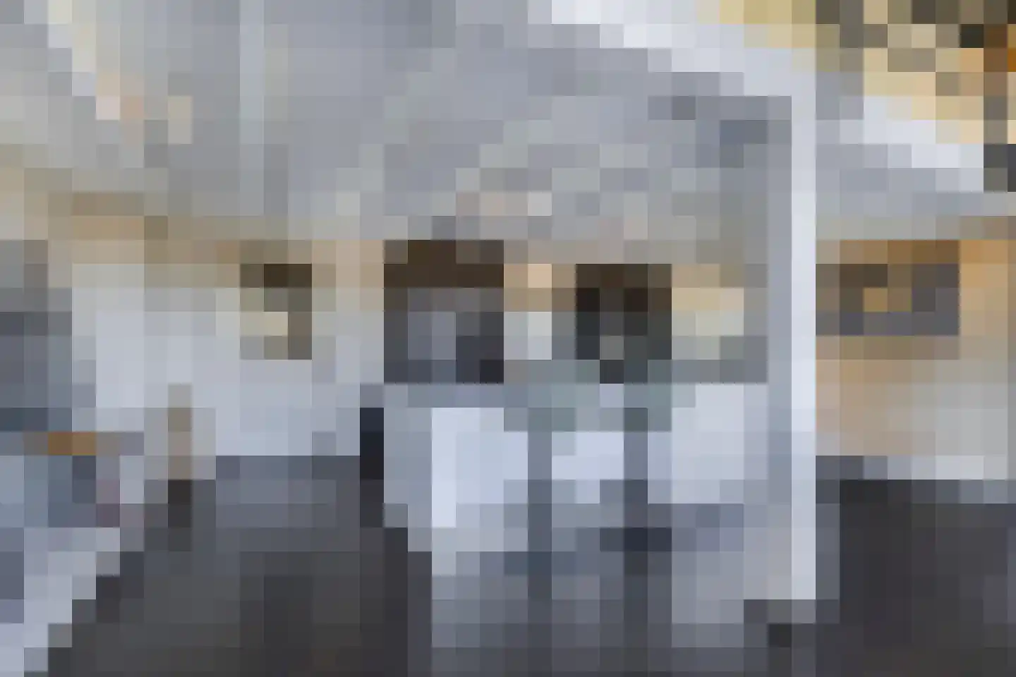 Bossingel 10 Opende thumbnail 17