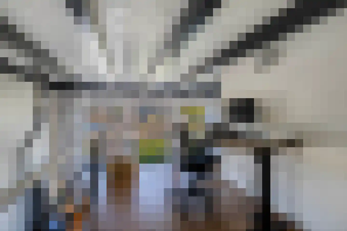 Bossingel 10 Opende thumbnail 33