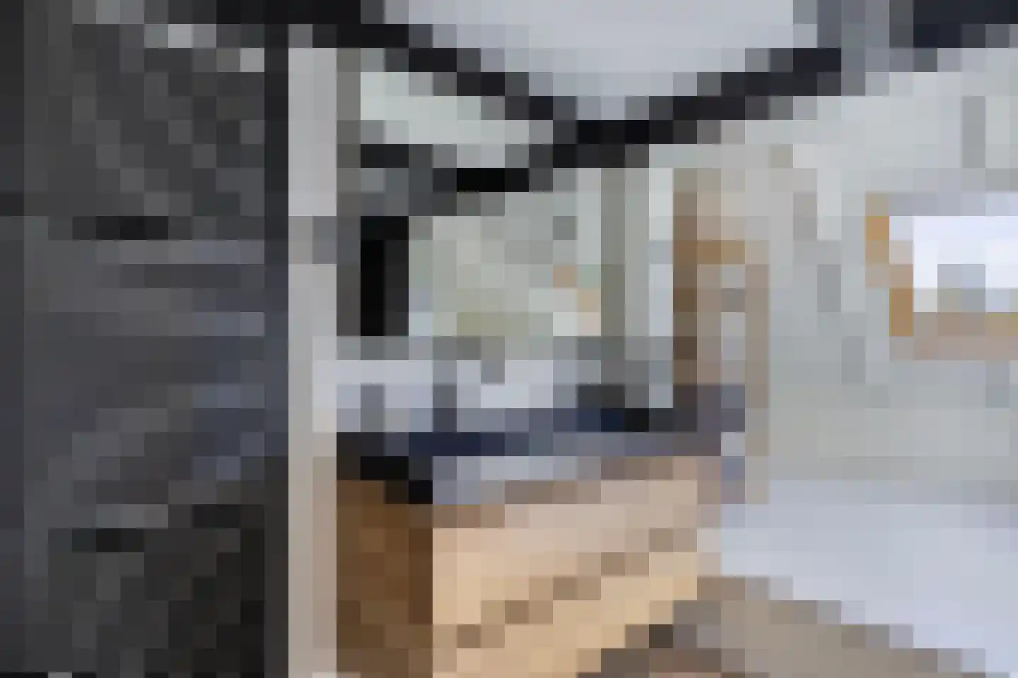 Bossingel 10 Opende thumbnail 39