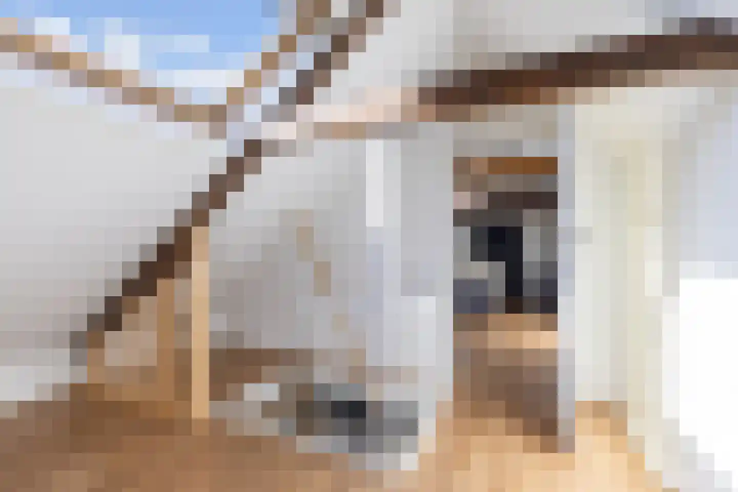 Bossingel 10 Opende thumbnail 42