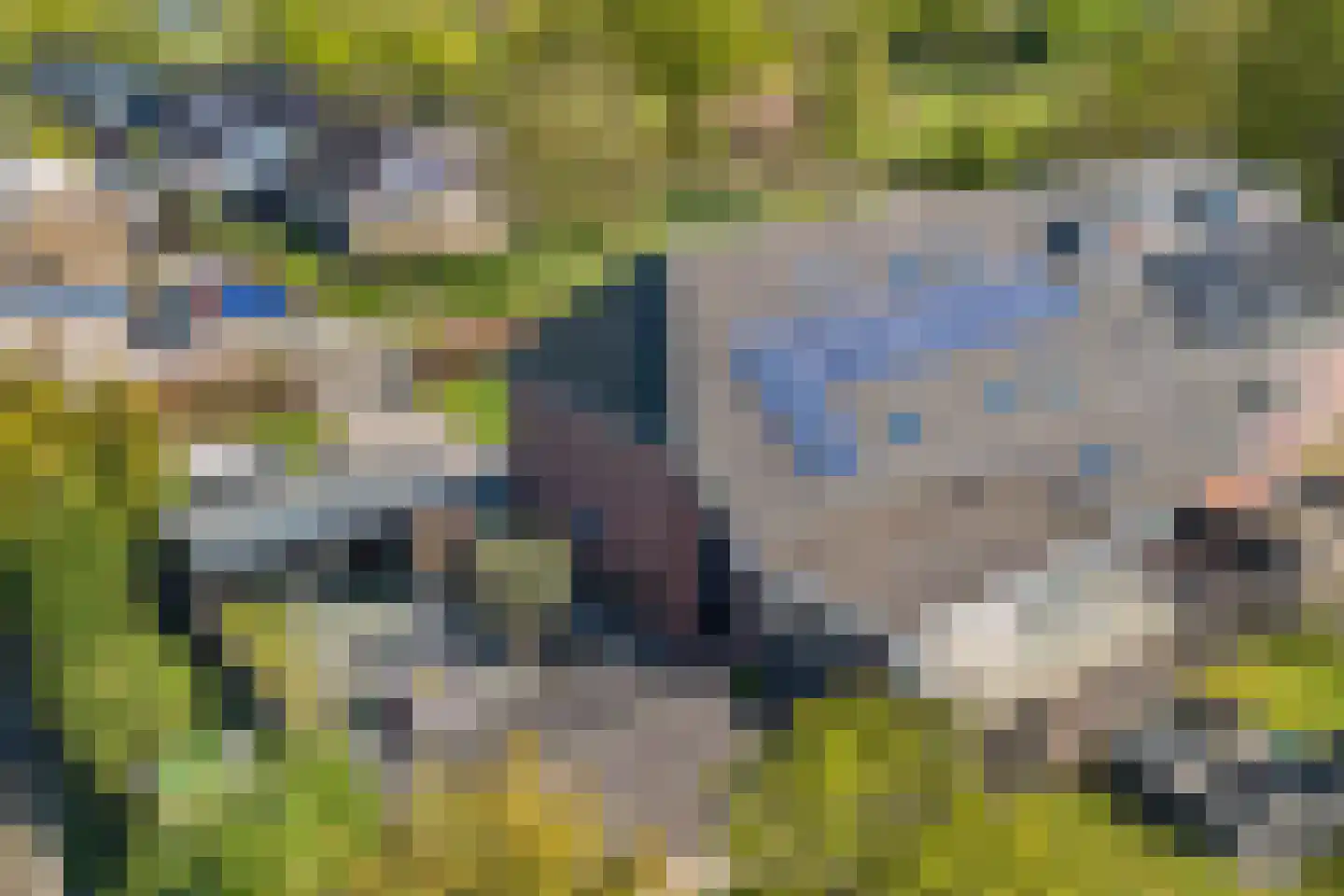 Bossingel 10 Opende thumbnail 47