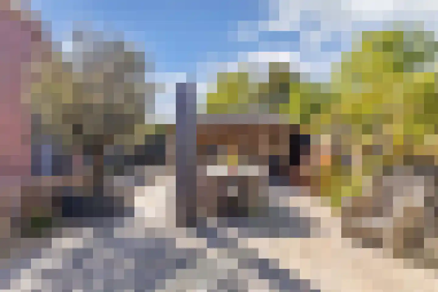 Bossingel 10 Opende thumbnail 49