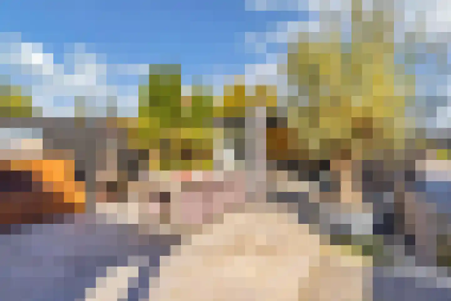 Bossingel 10 Opende thumbnail 51