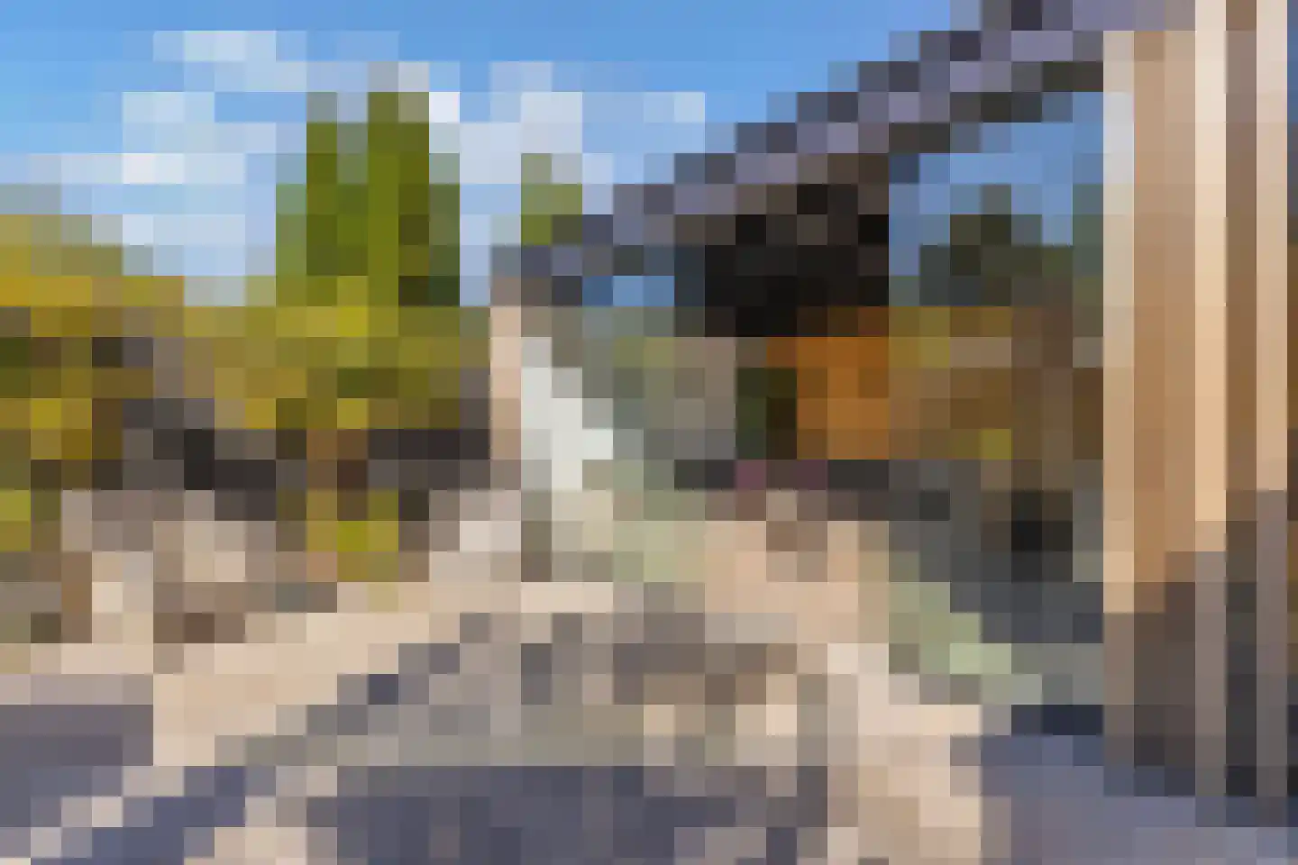 Bossingel 10 Opende thumbnail 53