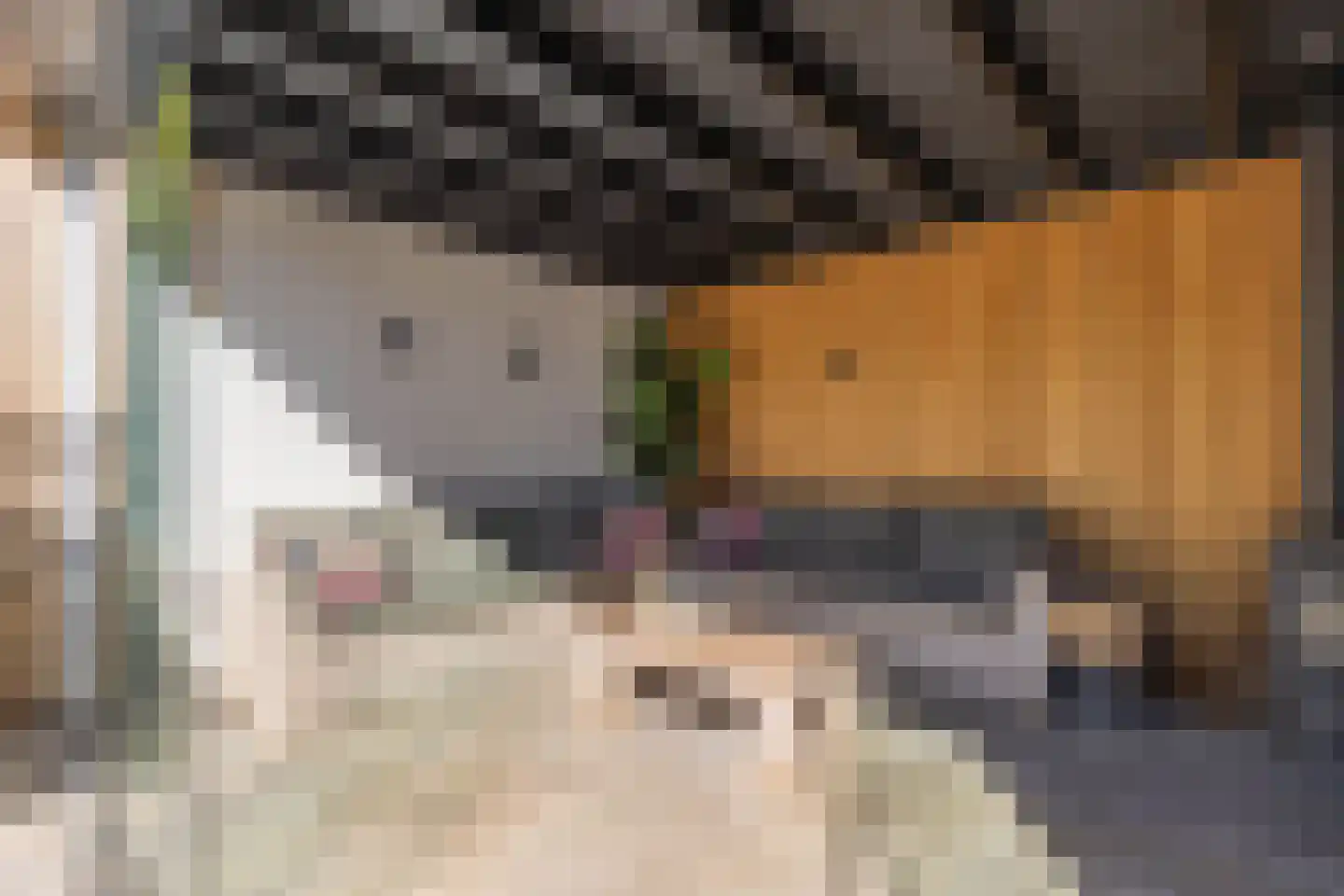 Bossingel 10 Opende thumbnail 54