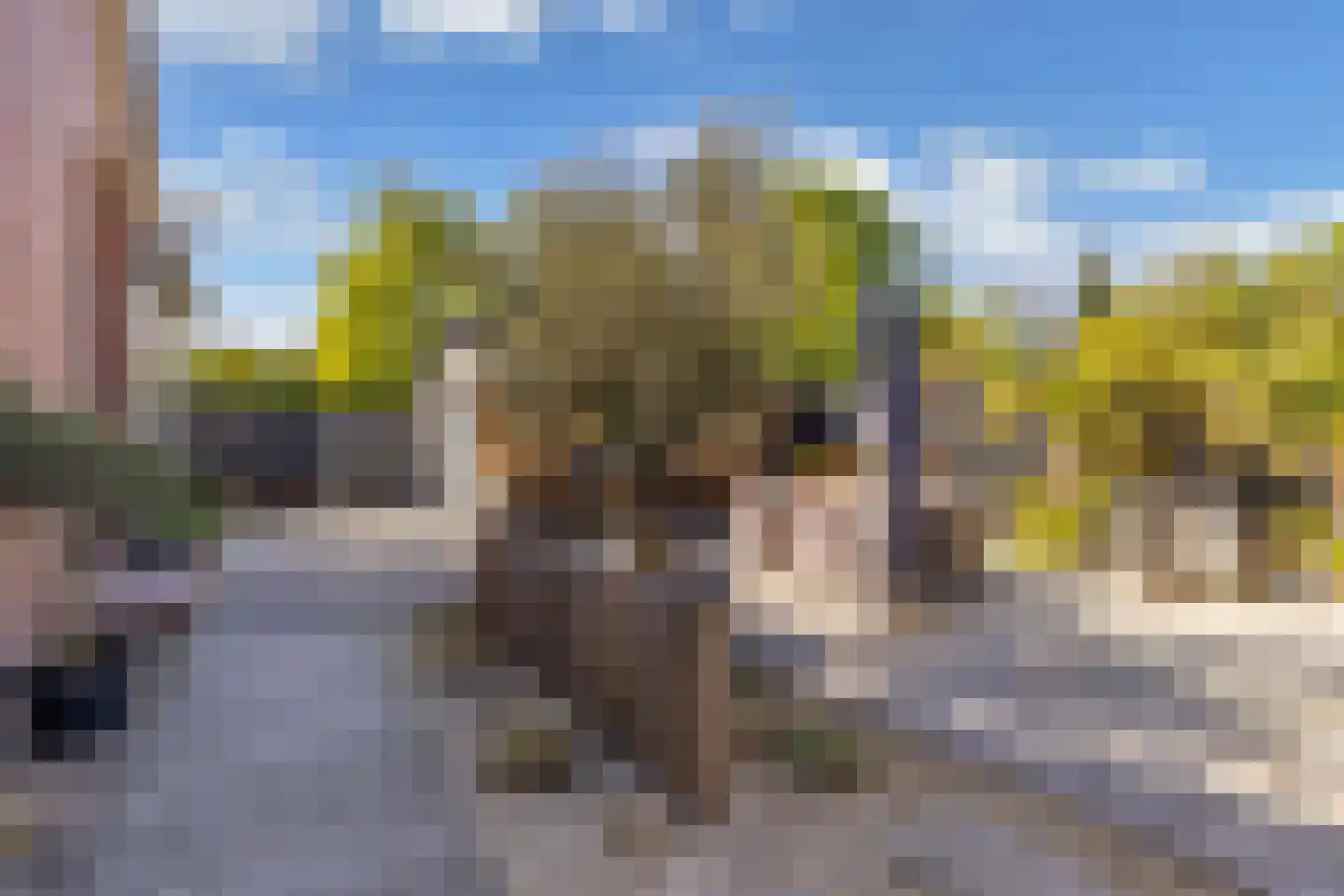 Bossingel 10 Opende thumbnail 58