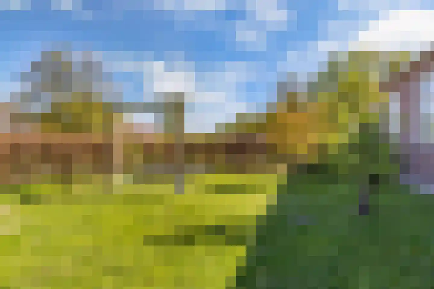 Bossingel 10 Opende thumbnail 62