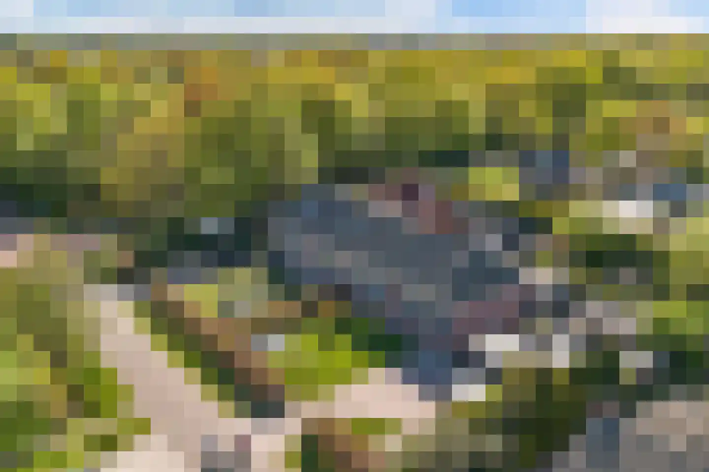 Bossingel 10 Opende thumbnail 66