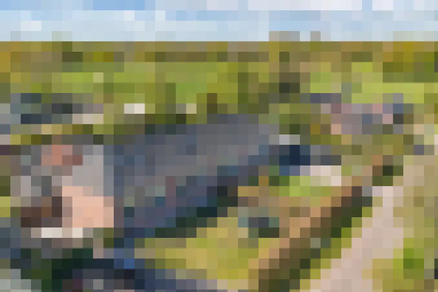 Bossingel 10 Opende thumbnail 67