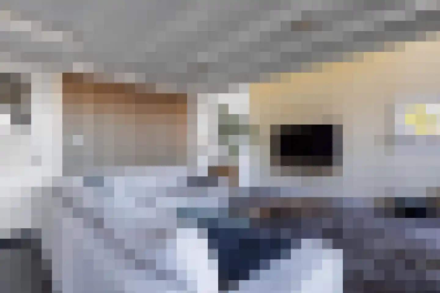 Bossingel 10 Opende thumbnail 8