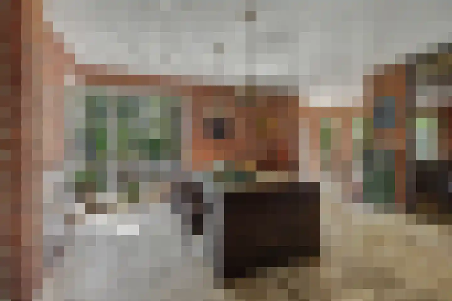 Bossingel 6 Bladel thumbnail 12