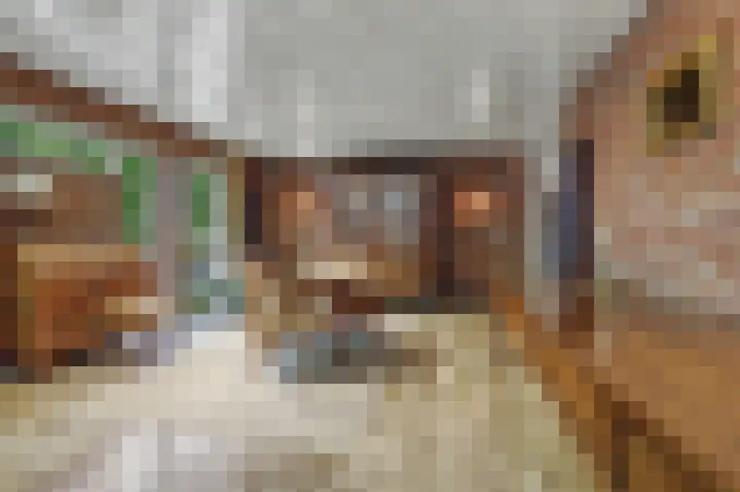 Bossingel 6 Bladel thumbnail 19