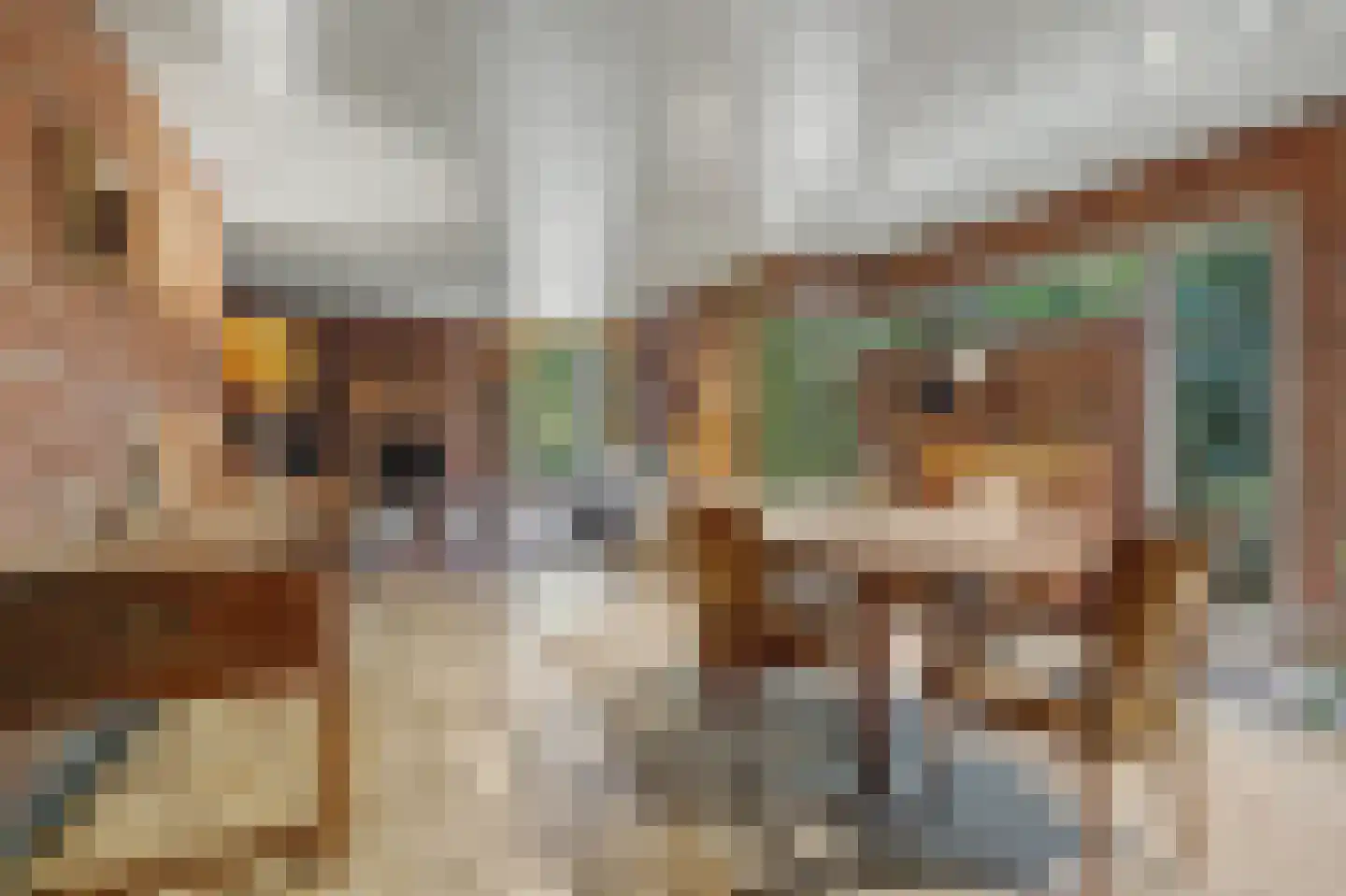 Bossingel 6 Bladel thumbnail 20