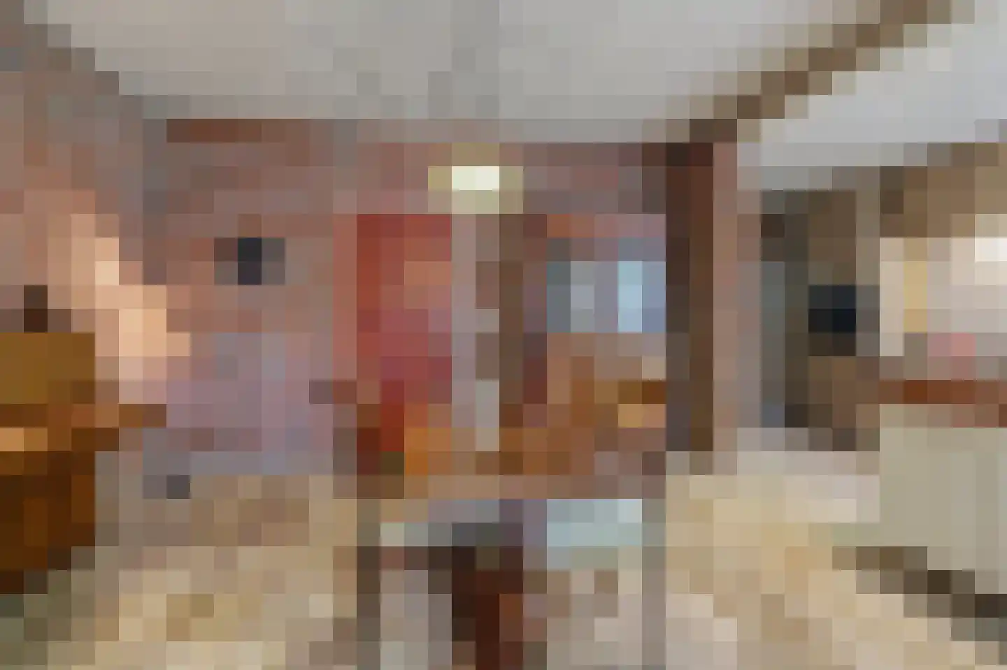 Bossingel 6 Bladel thumbnail 21