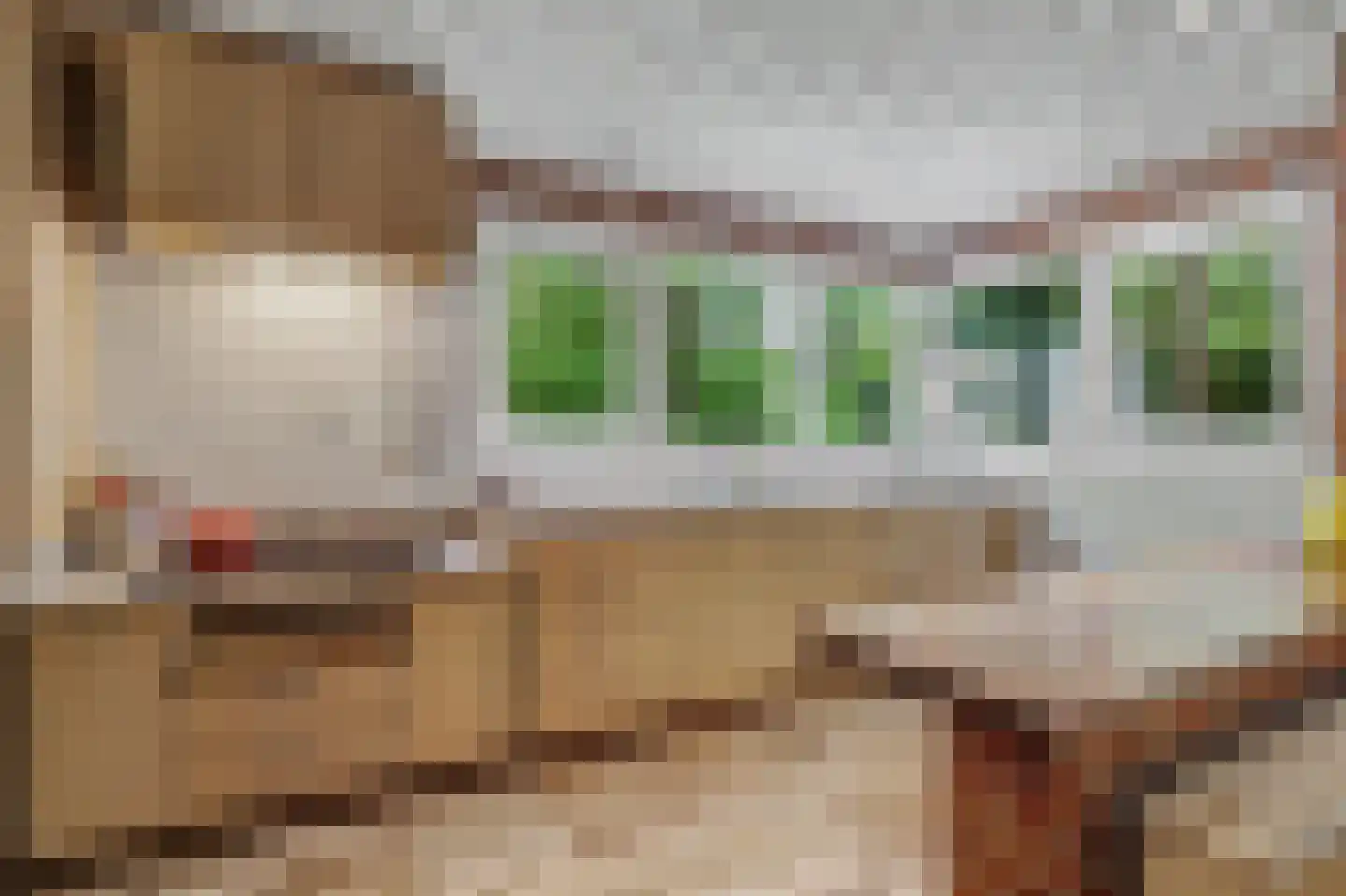 Bossingel 6 Bladel thumbnail 23