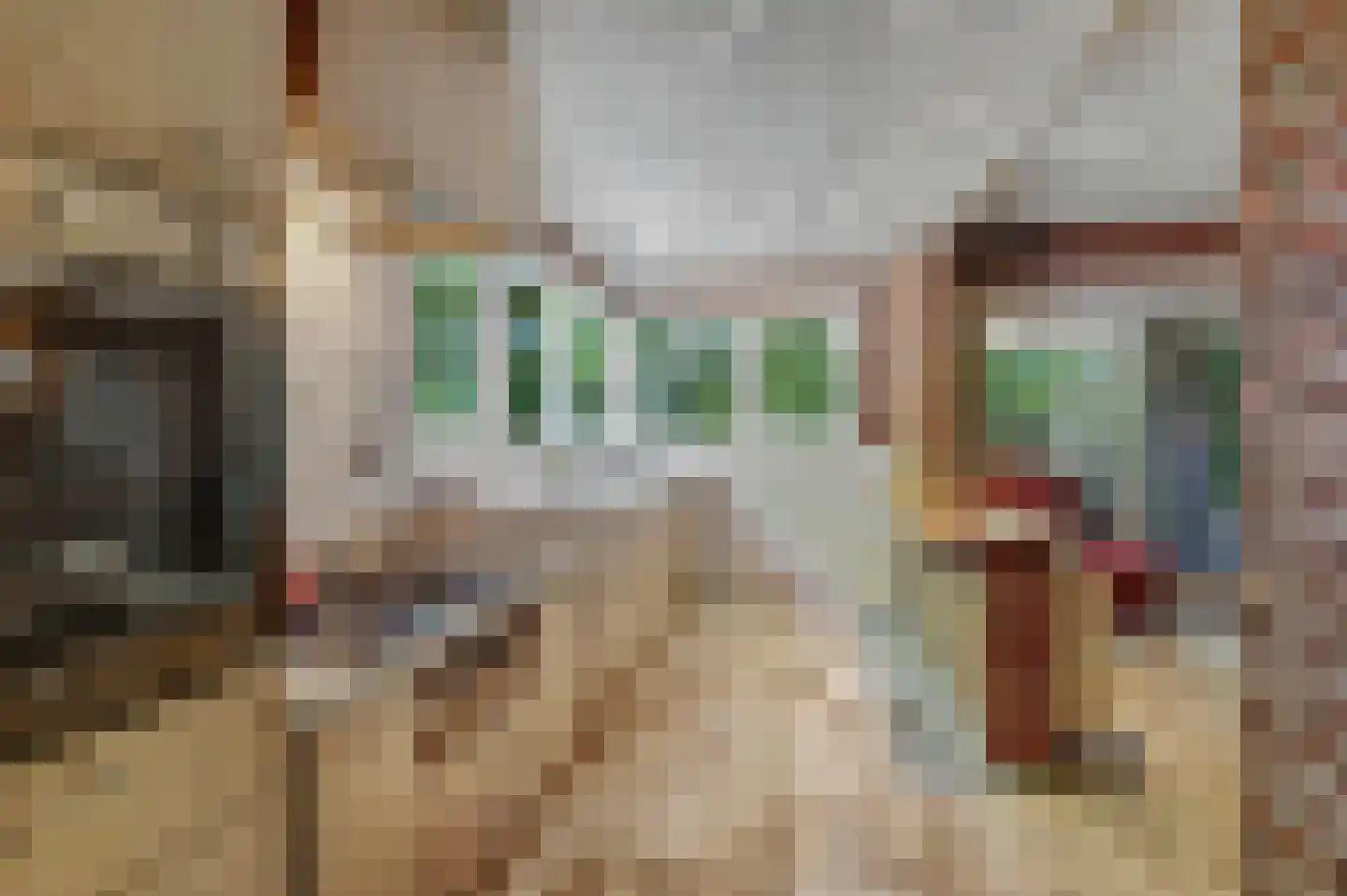 Bossingel 6 Bladel thumbnail 24