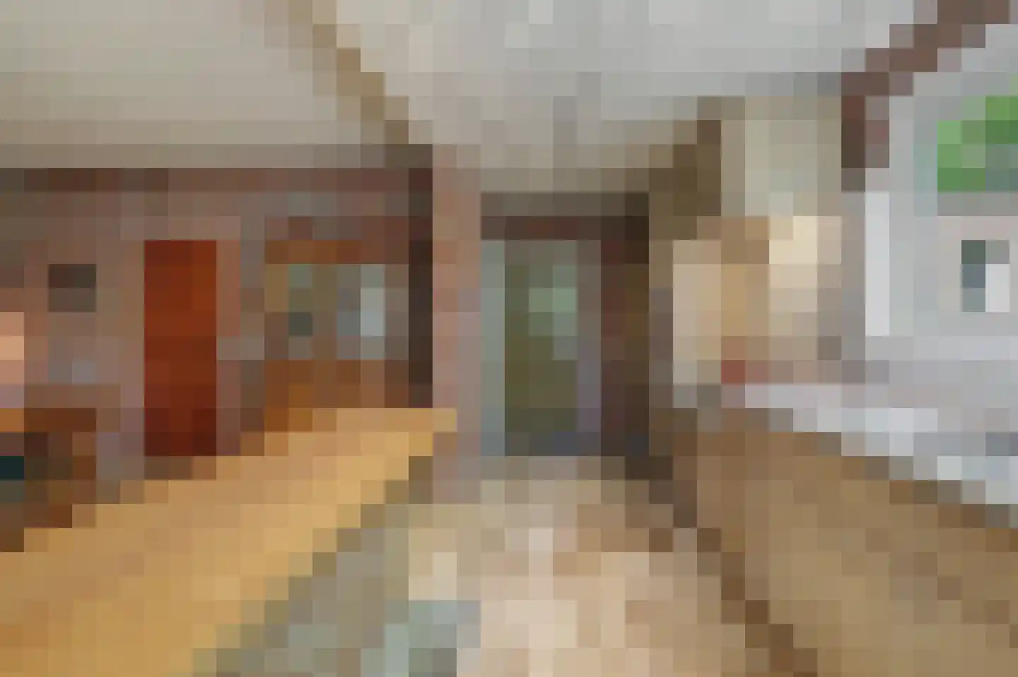 Bossingel 6 Bladel thumbnail 26