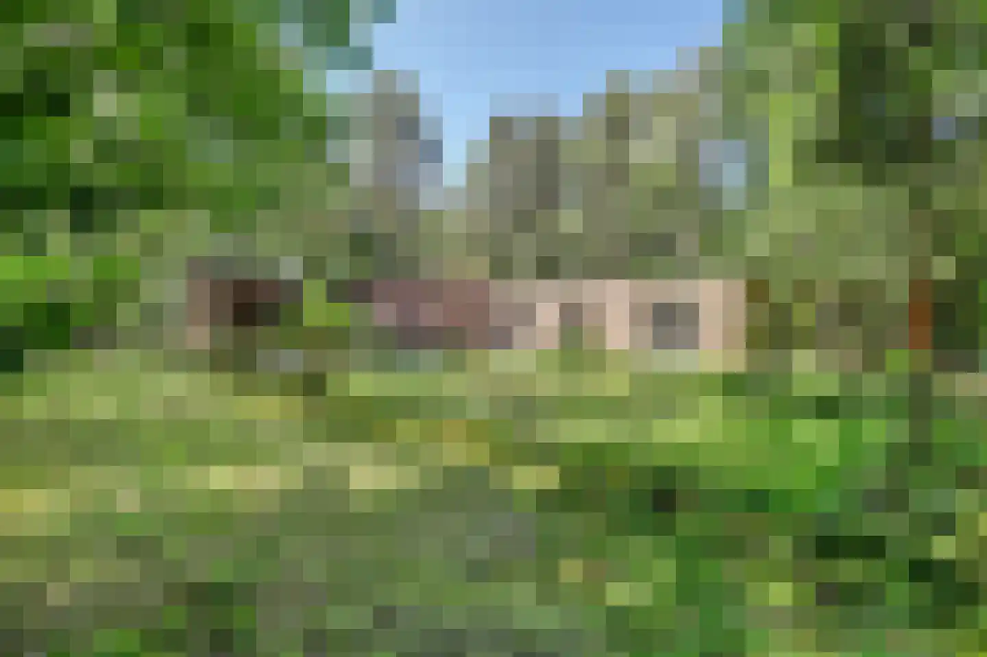 Bossingel 6 Bladel foto 3