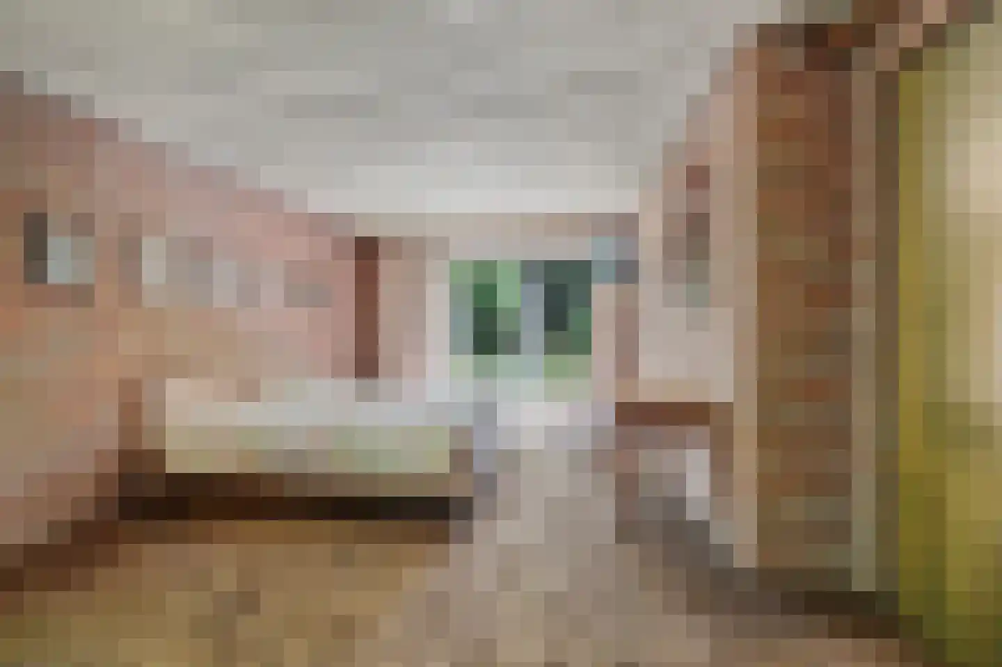 Bossingel 6 Bladel thumbnail 31