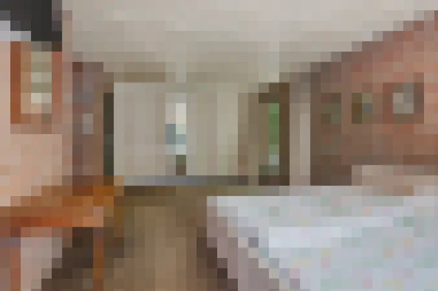 Bossingel 6 Bladel thumbnail 33