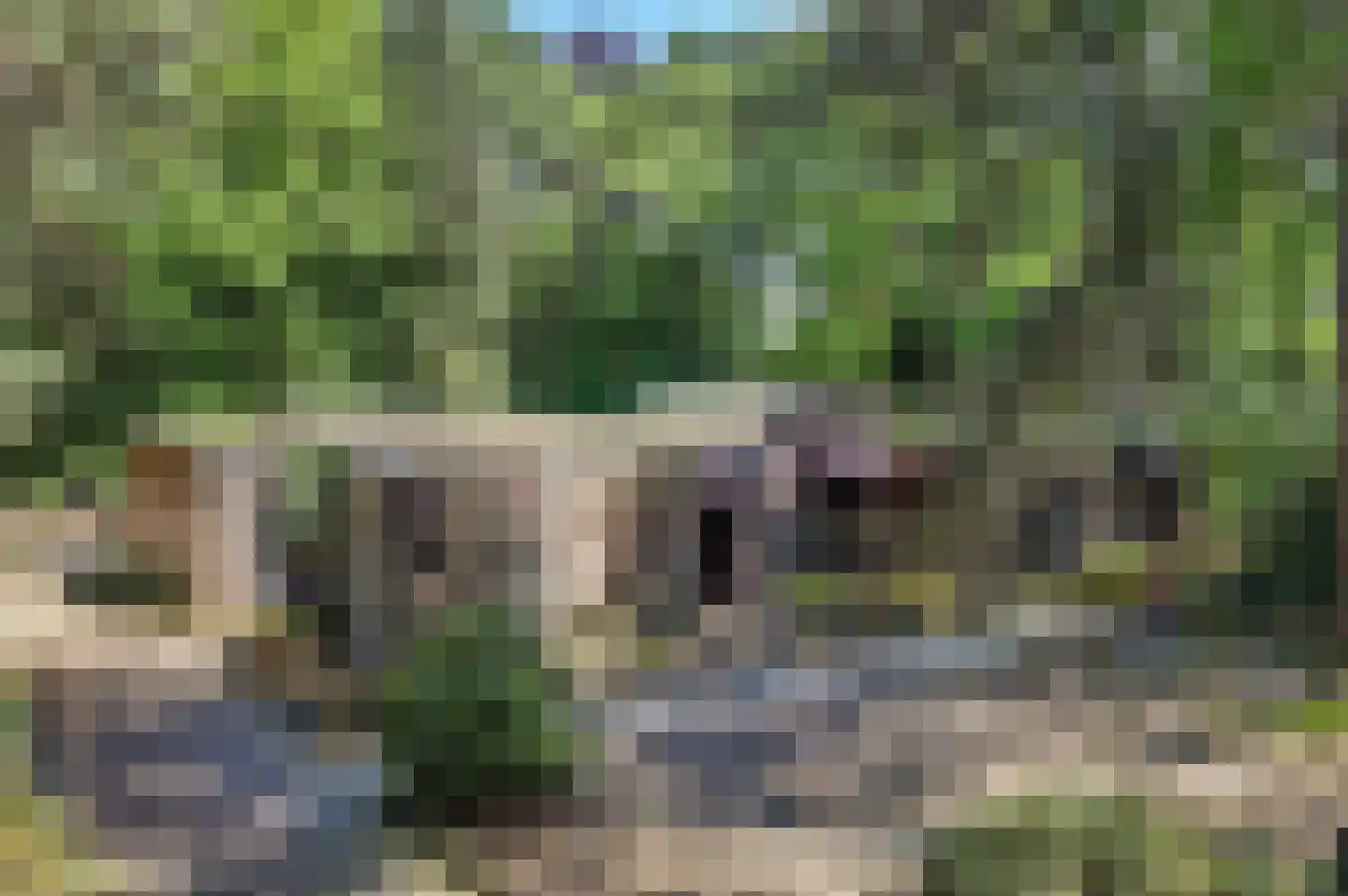 Bossingel 6 Bladel thumbnail 4