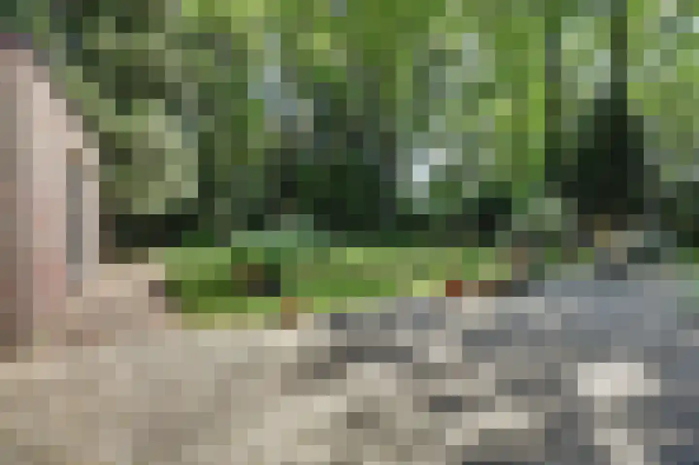 Bossingel 6 Bladel thumbnail 40
