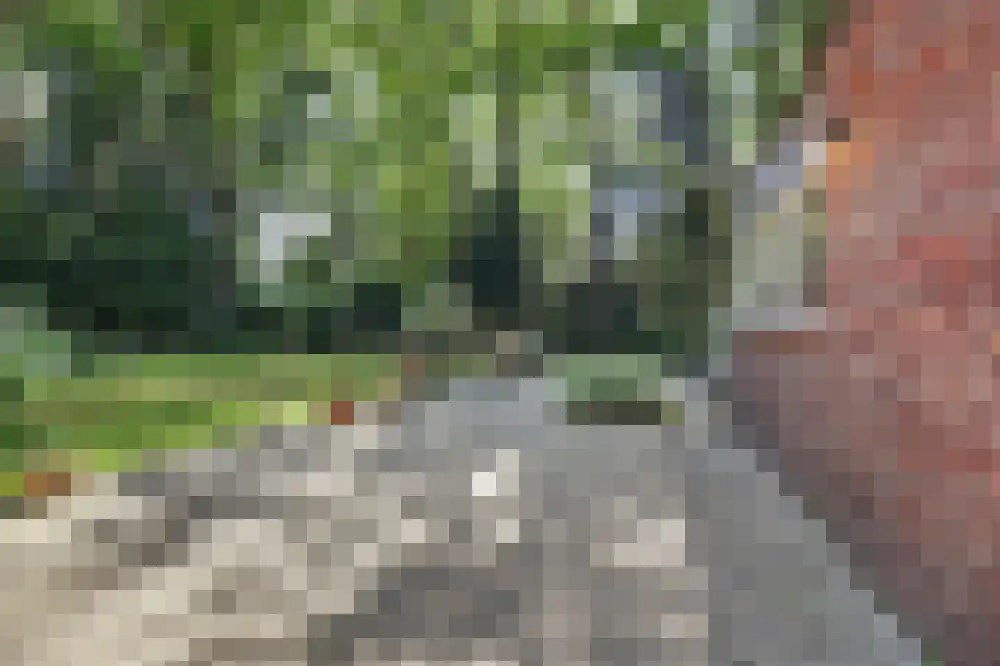Bossingel 6 Bladel thumbnail 41