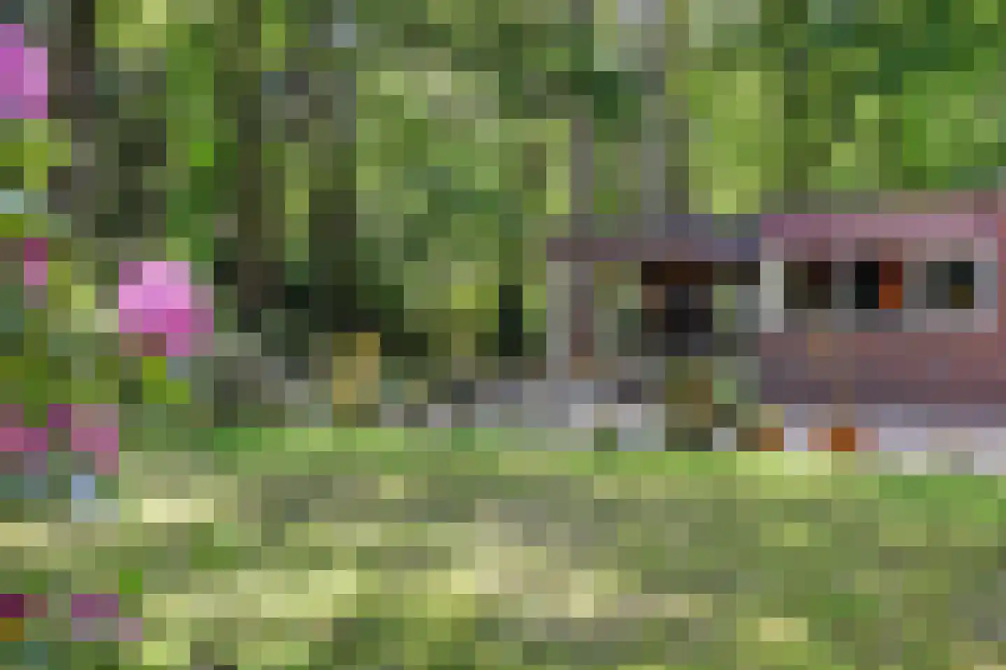 Bossingel 6 Bladel thumbnail 42