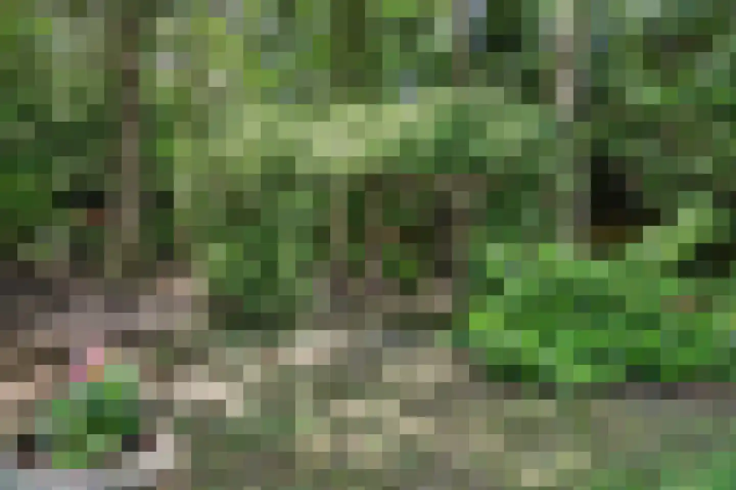 Bossingel 6 Bladel thumbnail 43