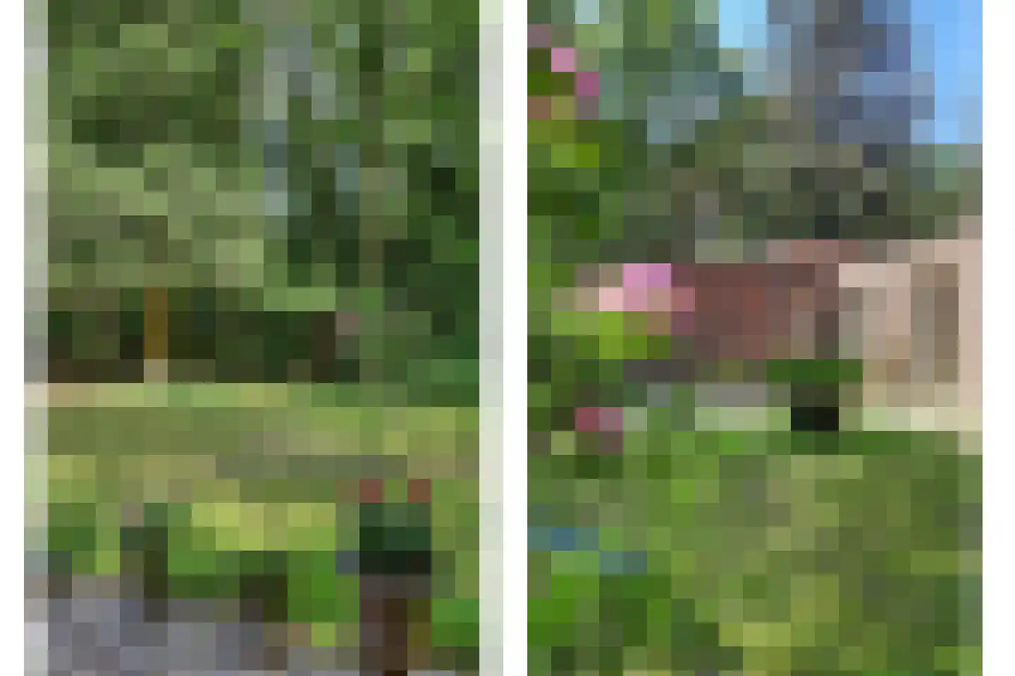 Bossingel 6 Bladel thumbnail 44