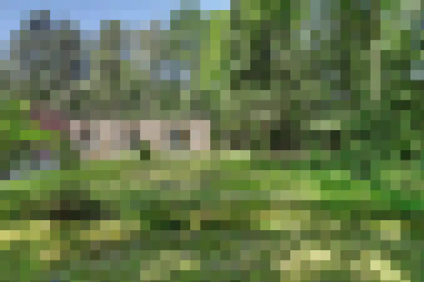 Bossingel 6 Bladel thumbnail 45