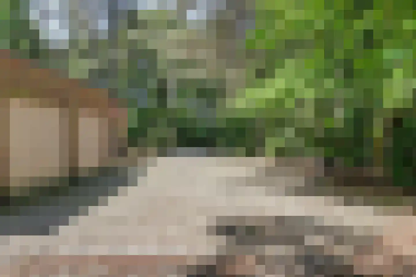 Bossingel 6 Bladel thumbnail 47
