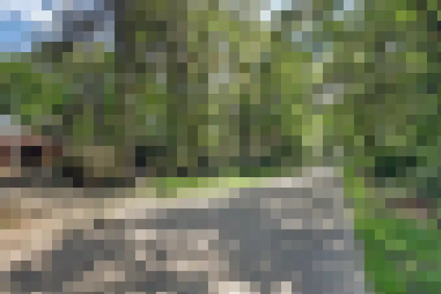 Bossingel 6 Bladel thumbnail 48