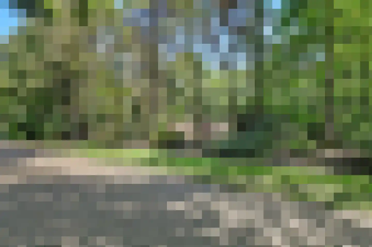 Bossingel 6 Bladel thumbnail 49