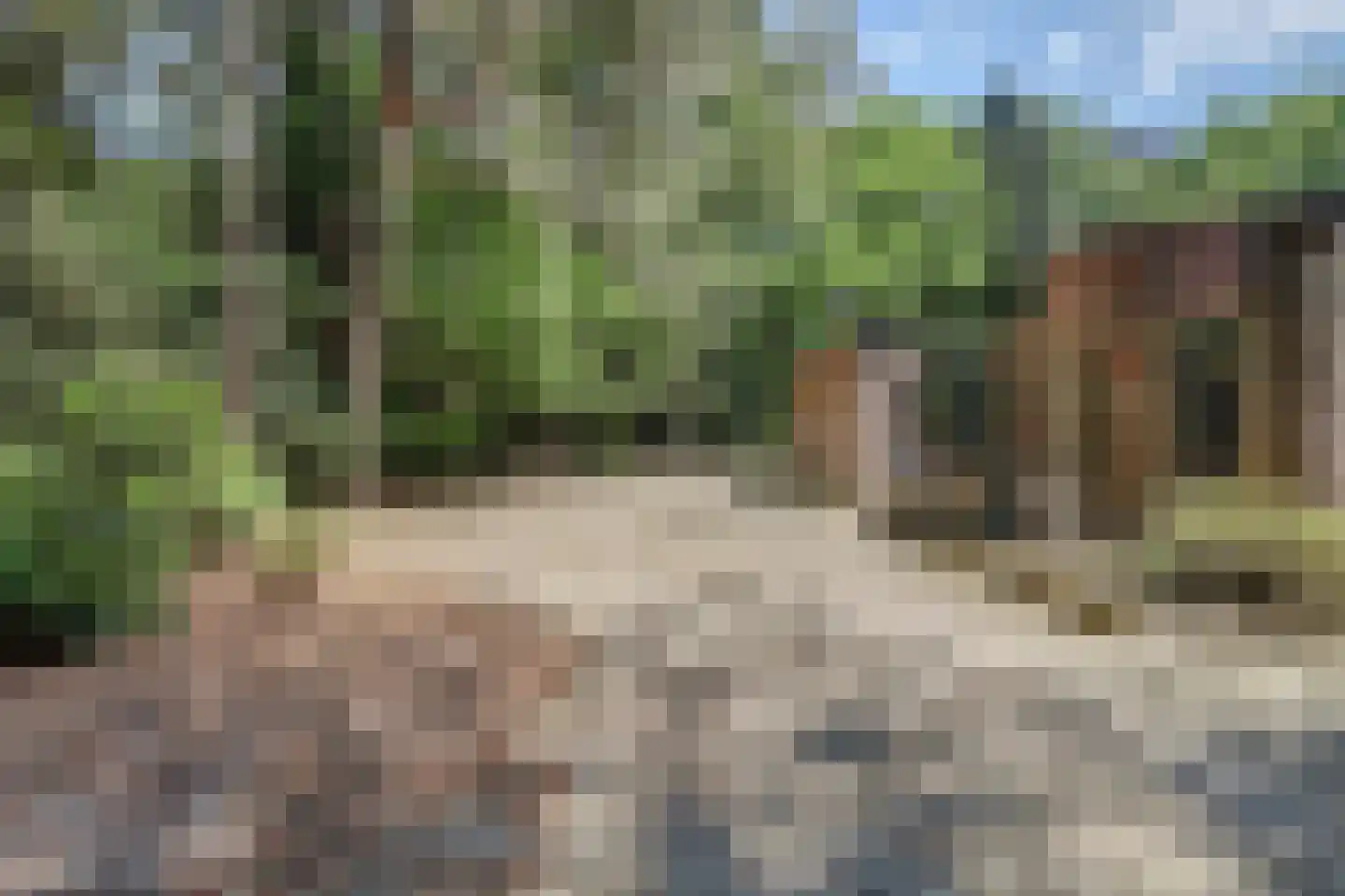 Bossingel 6 Bladel thumbnail 5