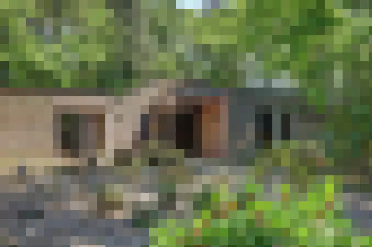 Bossingel 6 Bladel thumbnail 6