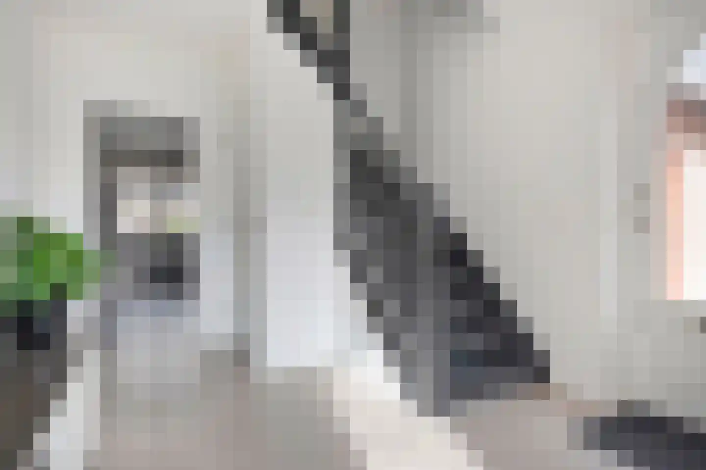Bosstraat 10 Born thumbnail 10